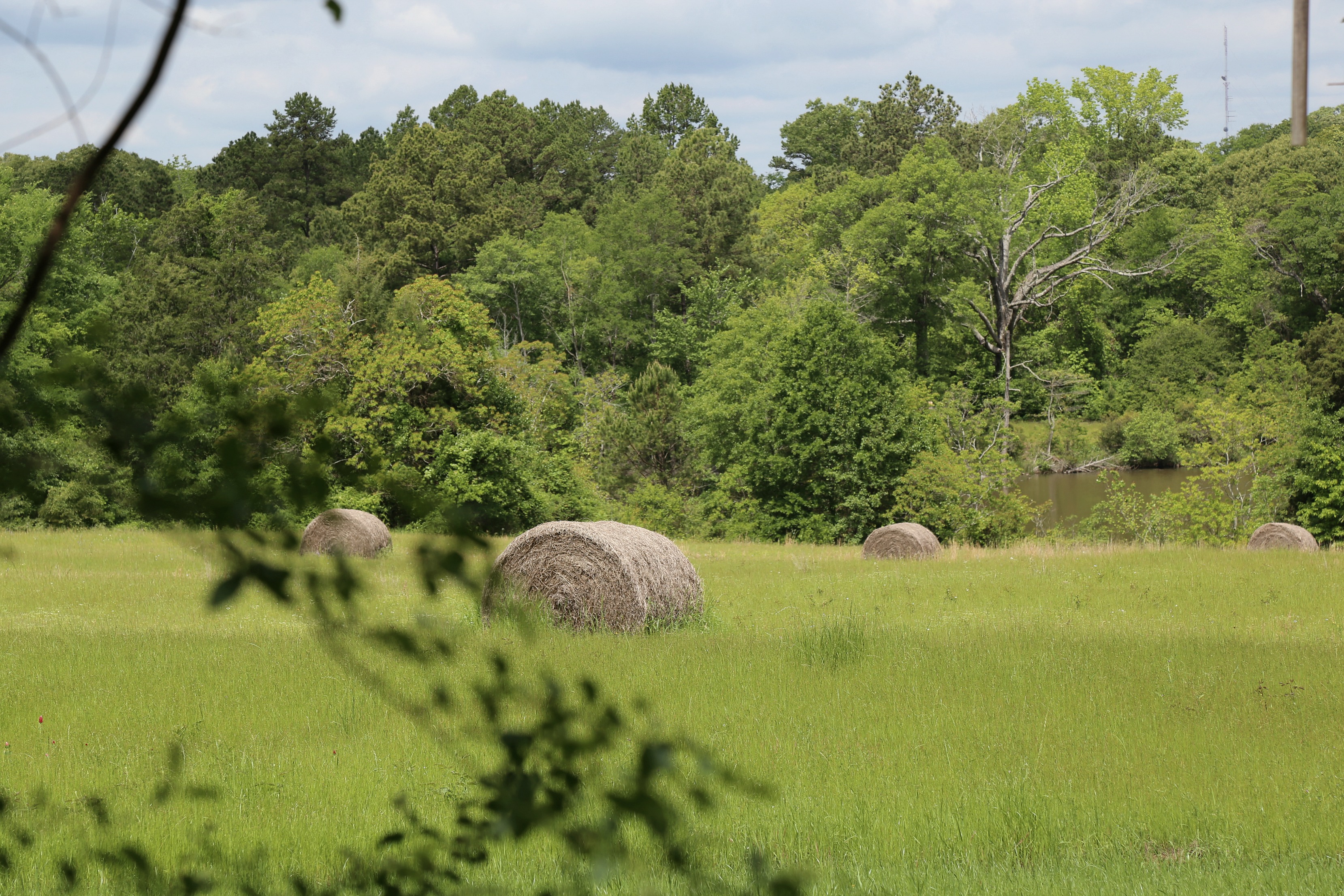 Texas Farm 16a