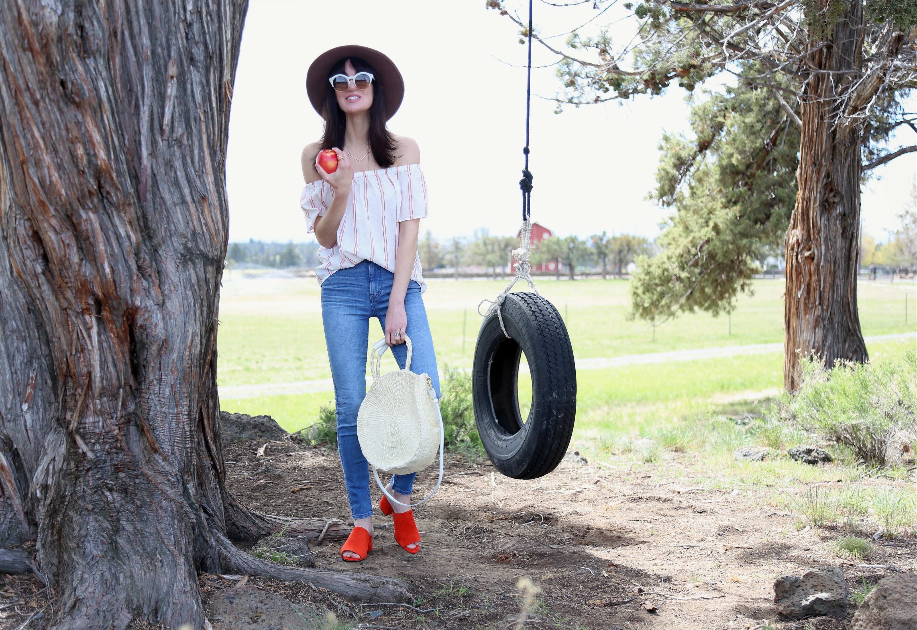 Lilla P Tire Swing 1b